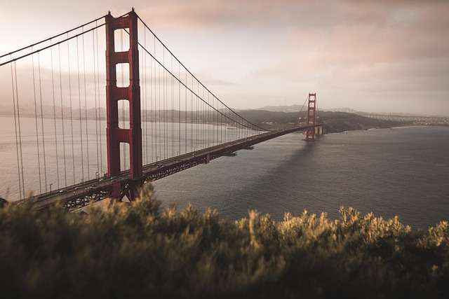 Baseball in Bay Area - culture, history, and development.
