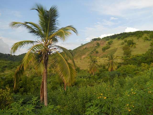 Baseball in Haiti - culture, history, and development.
