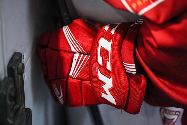 Hockey 101: The Basics Every New Fan Should Know