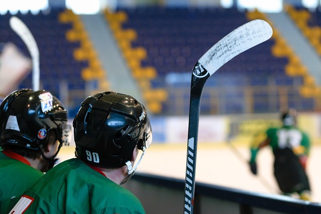 Future of National Hockey League