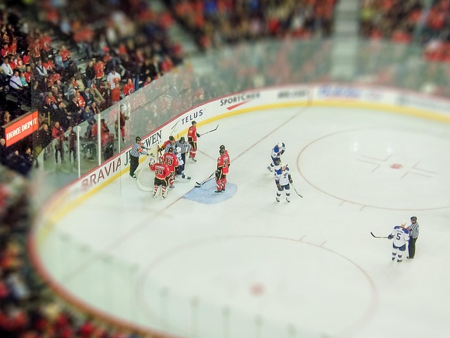 Hockey 101: Skills, Strategy, and What Makes Teams Successful