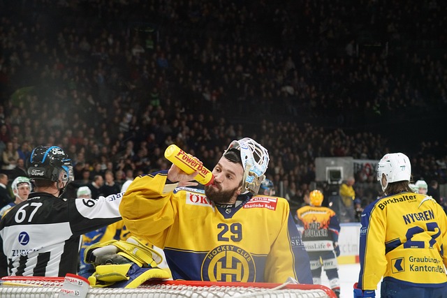 Kontinental Hockey League (KHL)