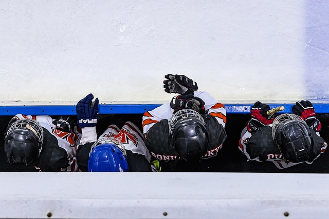 Ligue Magnus