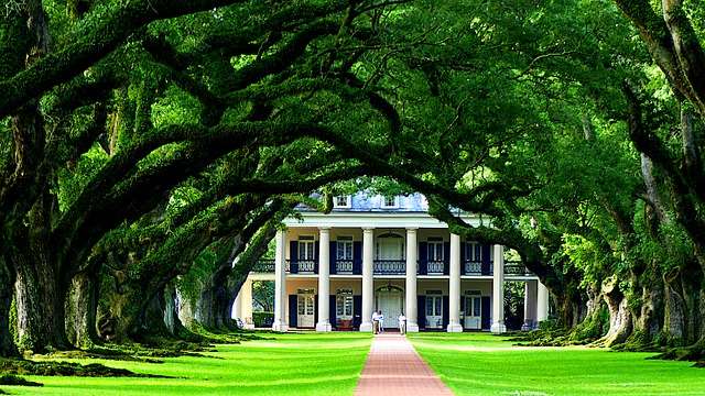 Baseball in Louisiana - culture, history, and development.