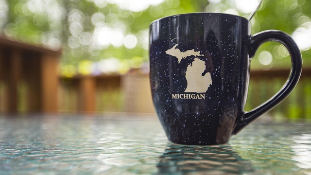 Women’s Hockey in Michigan