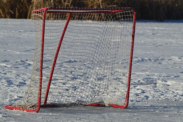 Ontario Hockey League (OHL)
