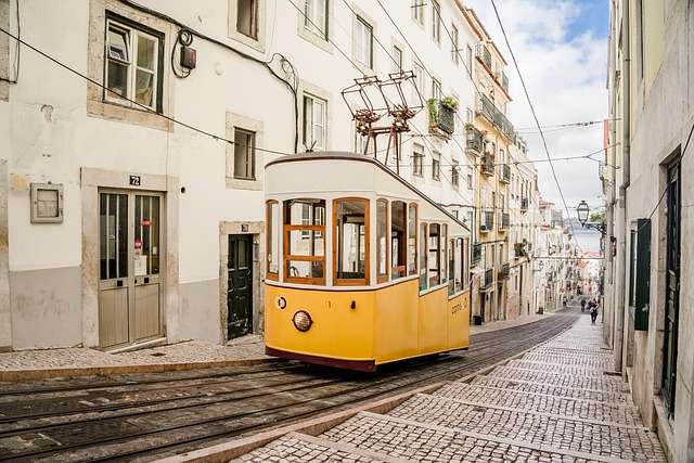 Baseball in Portugal - culture, history, and development.