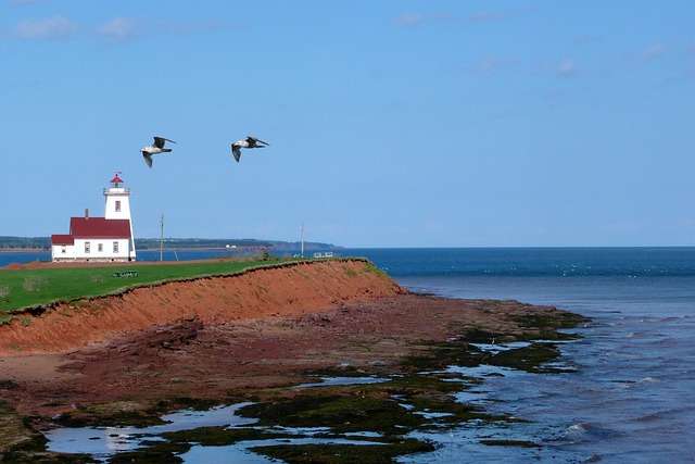 Baseball in Prince Edward Island - culture, history, and development.