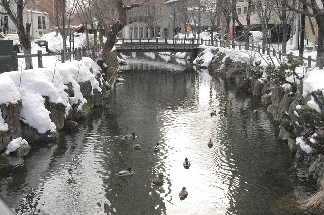 1972: Munich (W. Germany) & Sapporo (Japan)