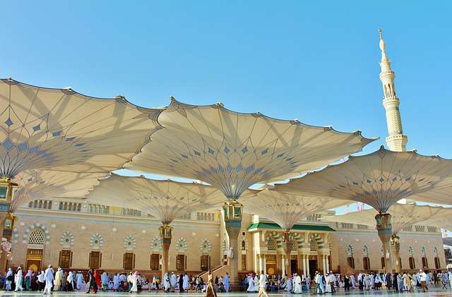 Baseball in Saudi Arabia - culture, history, and development.