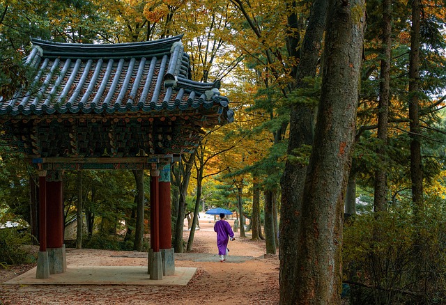 Field Hockey in South Korea
