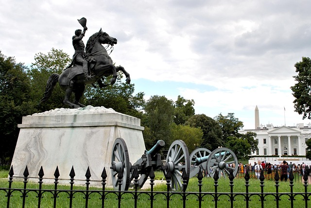 Field Hockey in Washington DC