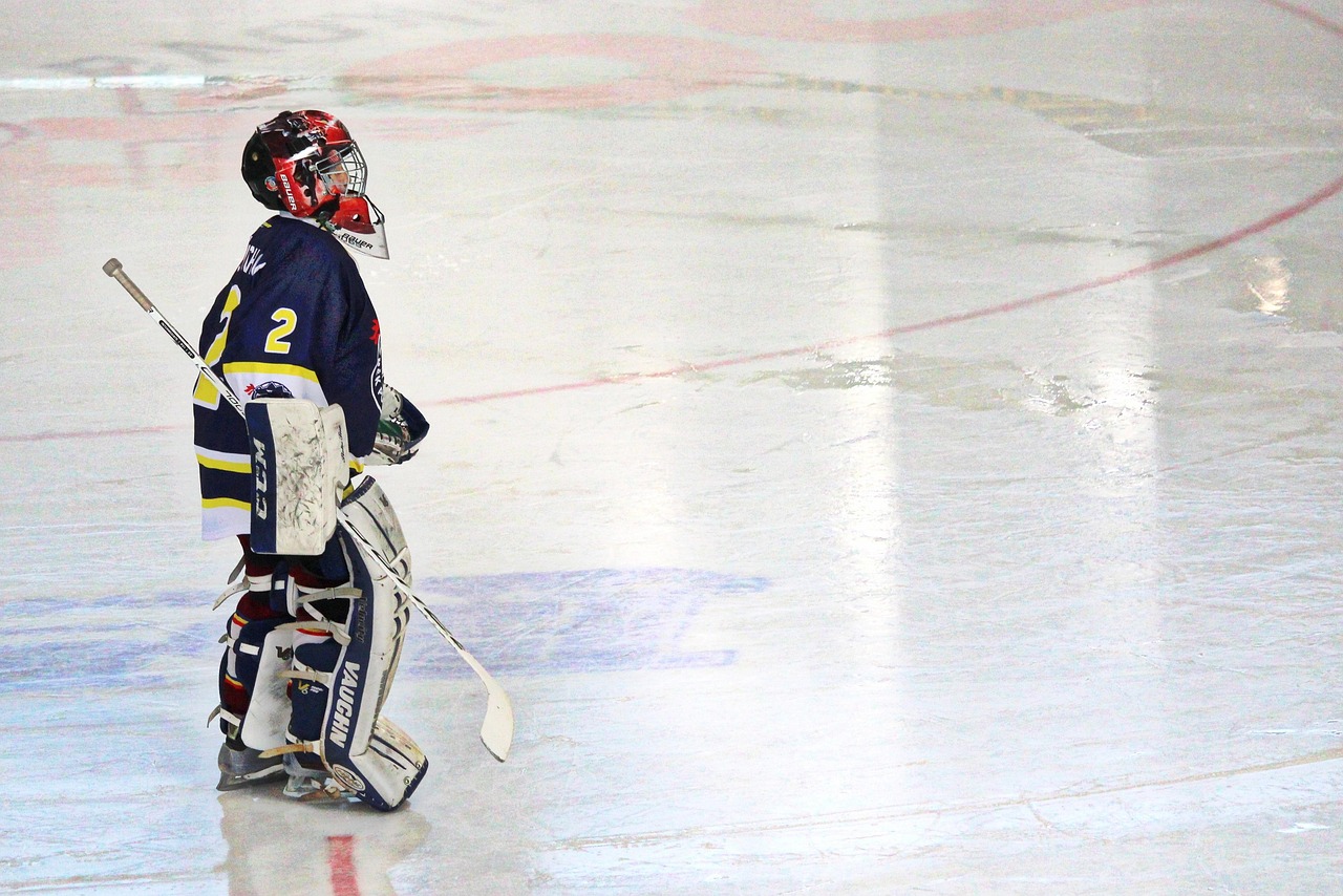 Dominik Hašek and the Goalie Style That Looked Wrong