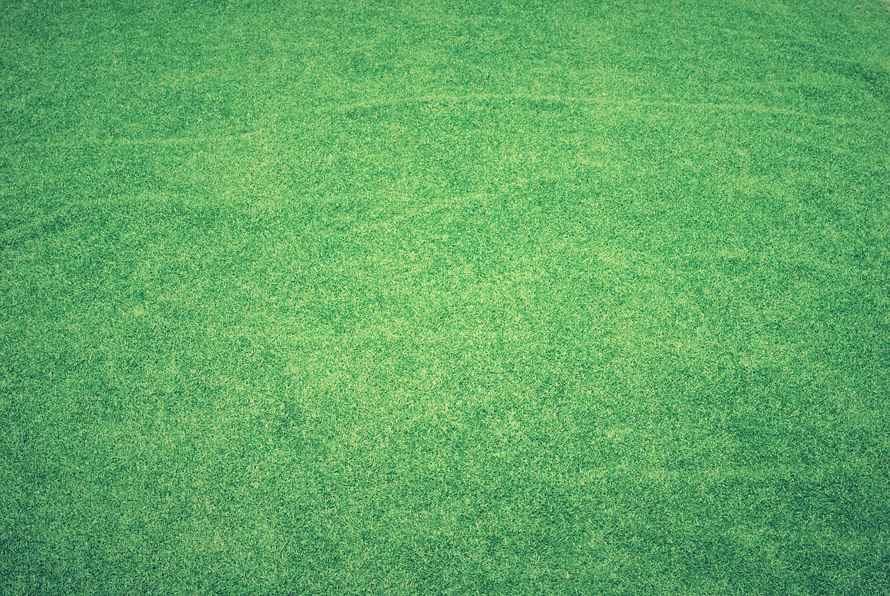 How Artificial Turf Changed Field Hockey