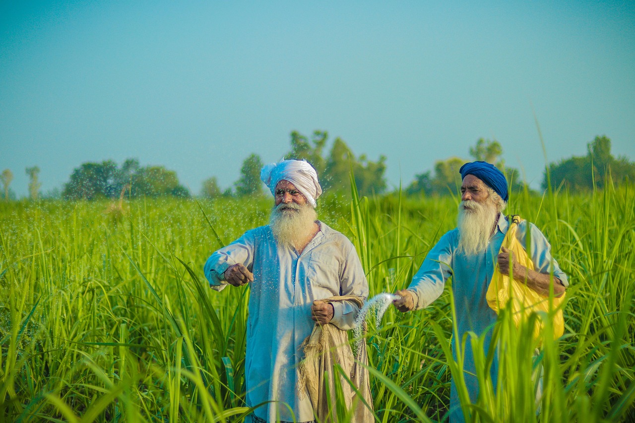 Punjab and the Field Hockey Identity That Shaped Two Nations