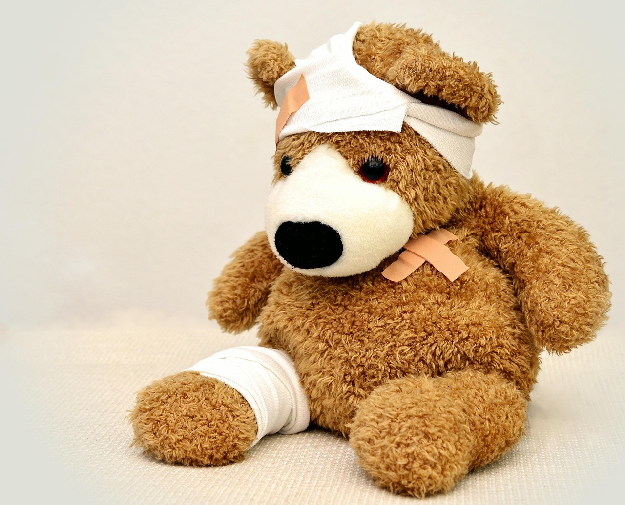 The Teddy Bear Toss and Hockey’s Sweetest Goal Celebration